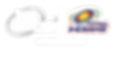 MI.png